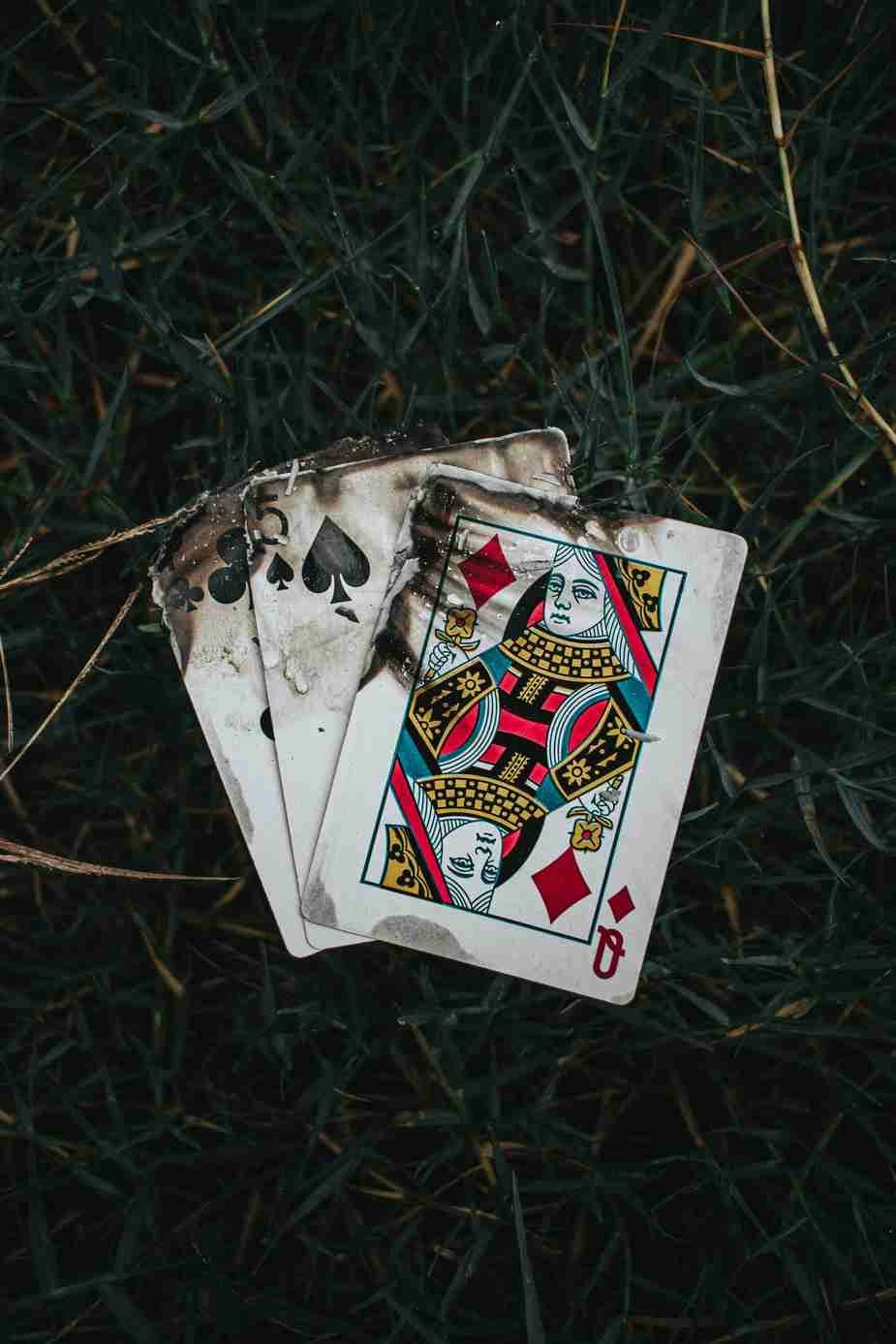 evolve-casino-france.com