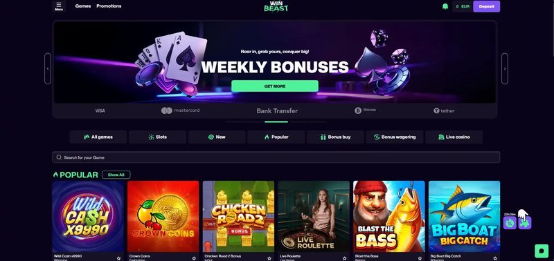 Learn about winbeast casino review